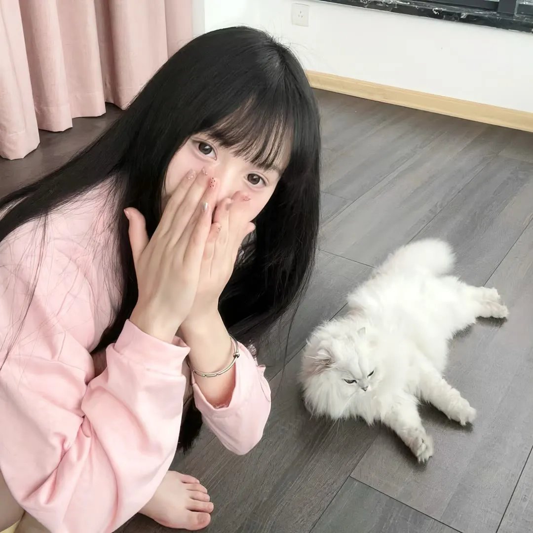 瑟堡的雨伞