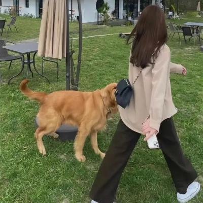 逊咖日记